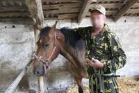 НОВОСТИ СВЕРХДЕРЖАВЫ. Рашисты отправили на войну против Украины подкрепление в виде лошадей